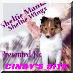 Sheltie Mania Sheltie Wings Award