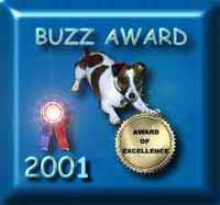 Buzz Award of Excellence2001