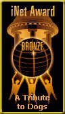 iNet Bronze Award