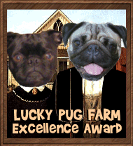 Lucky Pug Farm Excellence Award