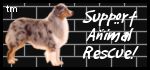 Support Animal Rescue!