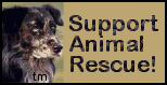 Support Animal Rescue!