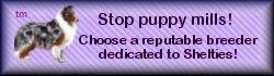 graphic:  Help stop puppy mills!  Choose  a reputable breeder dedicated to Shelties!
