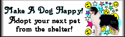 Graphic with Black Tri Aussie  with the message of Make A Dog Happy!  Adopt your next pet from the shelter!