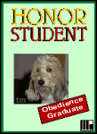Honor Student Obedience Graduate graphic with mixed breed