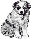graphic of puppy