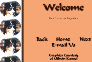 webset 2: brown aussie background