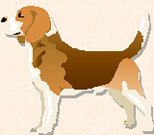 graphic of a Beagle