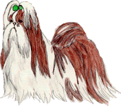 graphic of Shih Tzu