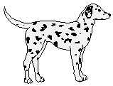 graphic of Dalmation