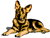 graphic of german shepherd puppy