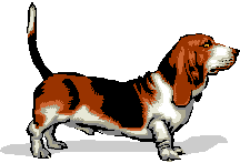 graphic of a Bassett Hound