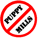 No Puppy Mills 