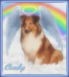 graphic of an angel dog with wings and a halo sitting on a cloud under a rainbow